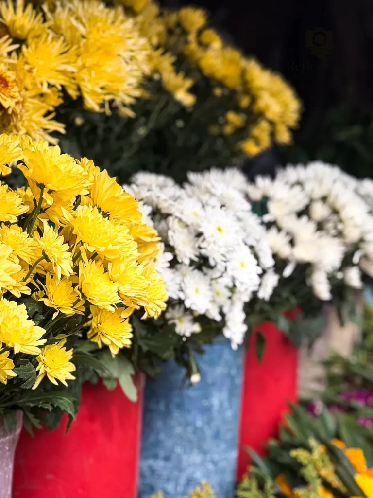 Yellow and white chrysanthemums at a local market in Thailand, natural light documentary photograph for the category of Thailand Flowers.