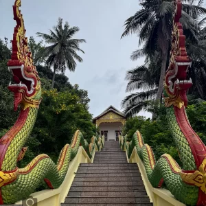 naga head guardians wat suwan khirri wong close-up guarding staircase to upper viharn