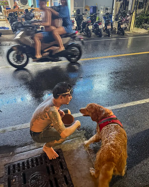 Documentary-style travel photography capturing a man interacting with a dog beside a rainy Phuket street at night with motion blur and natural urban atmosphere